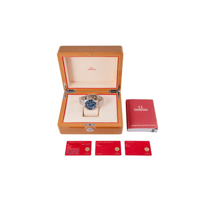 Omega Seamaster Diver 300M 210.30.42.20.03.001 | Timepiece360