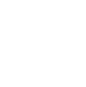Authentication protocol icon