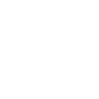 Authentication protocol icon
